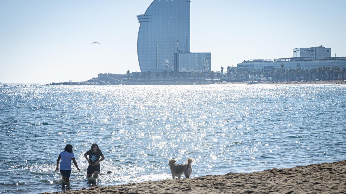 Los barceloneses acuden en masa a las playas de la ciudad para disfrutar del último día 'primaveral' antes de la llegada del frío
