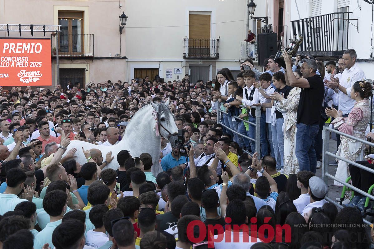 Fiestas de Caravaca | Entrega de premios del concurso morfológico