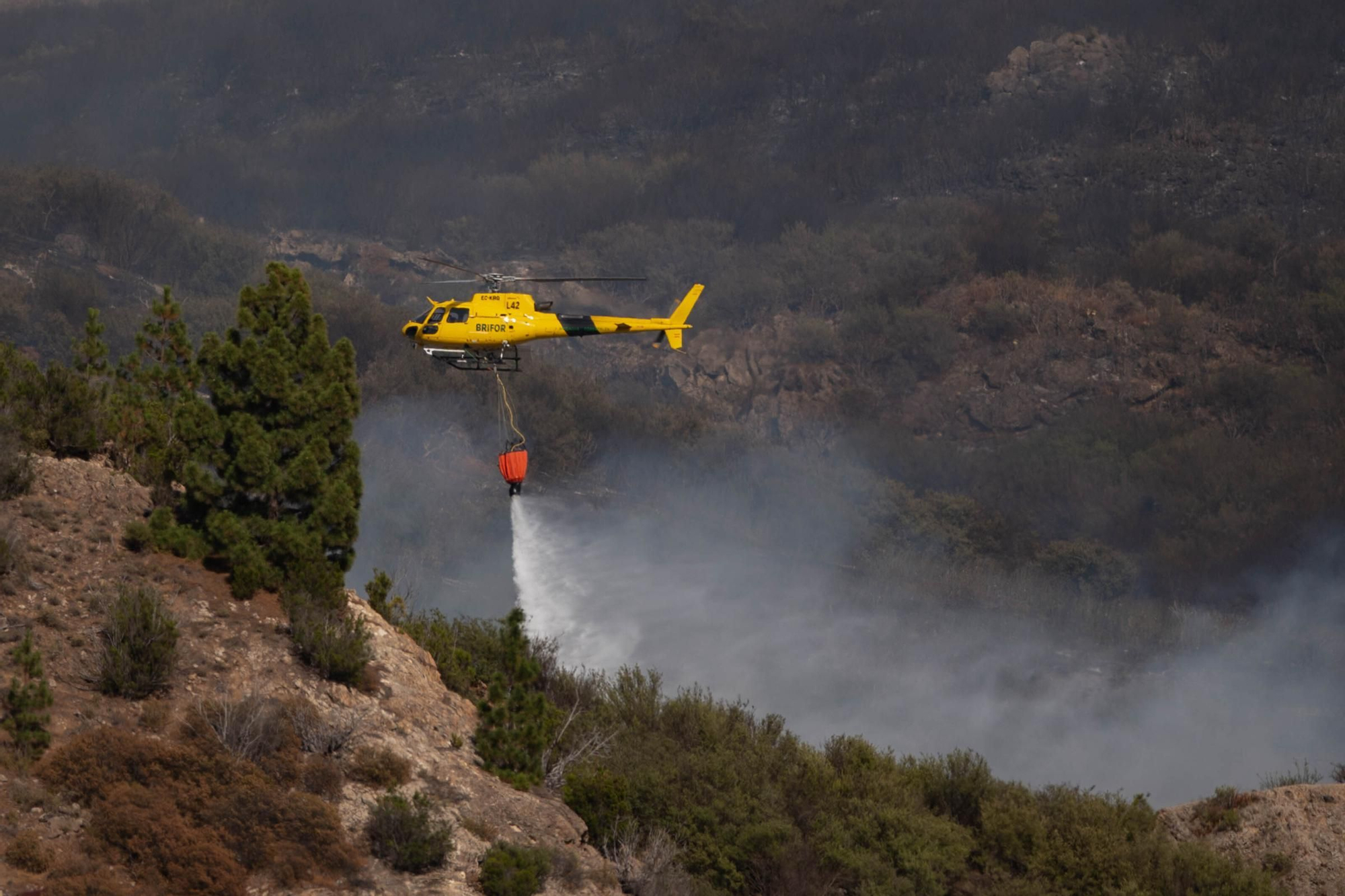 Imágenes del incendio declarado en El Tanque