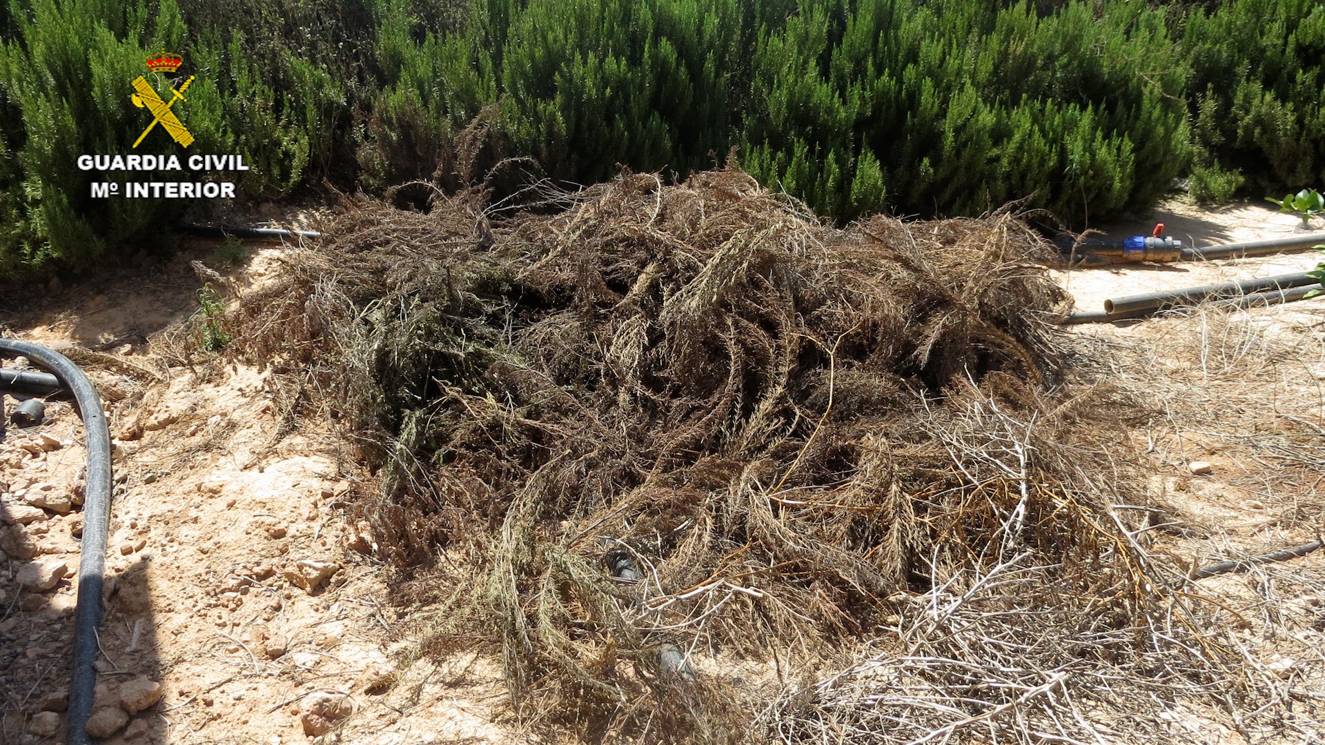 Investigan a un agricultor de San Javier por extracción de aguas subterráneas