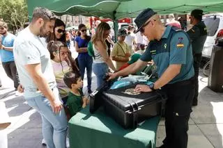 Las imágenes de la exhibición de la Guardia Civil en la Plaza Circular de Murcia