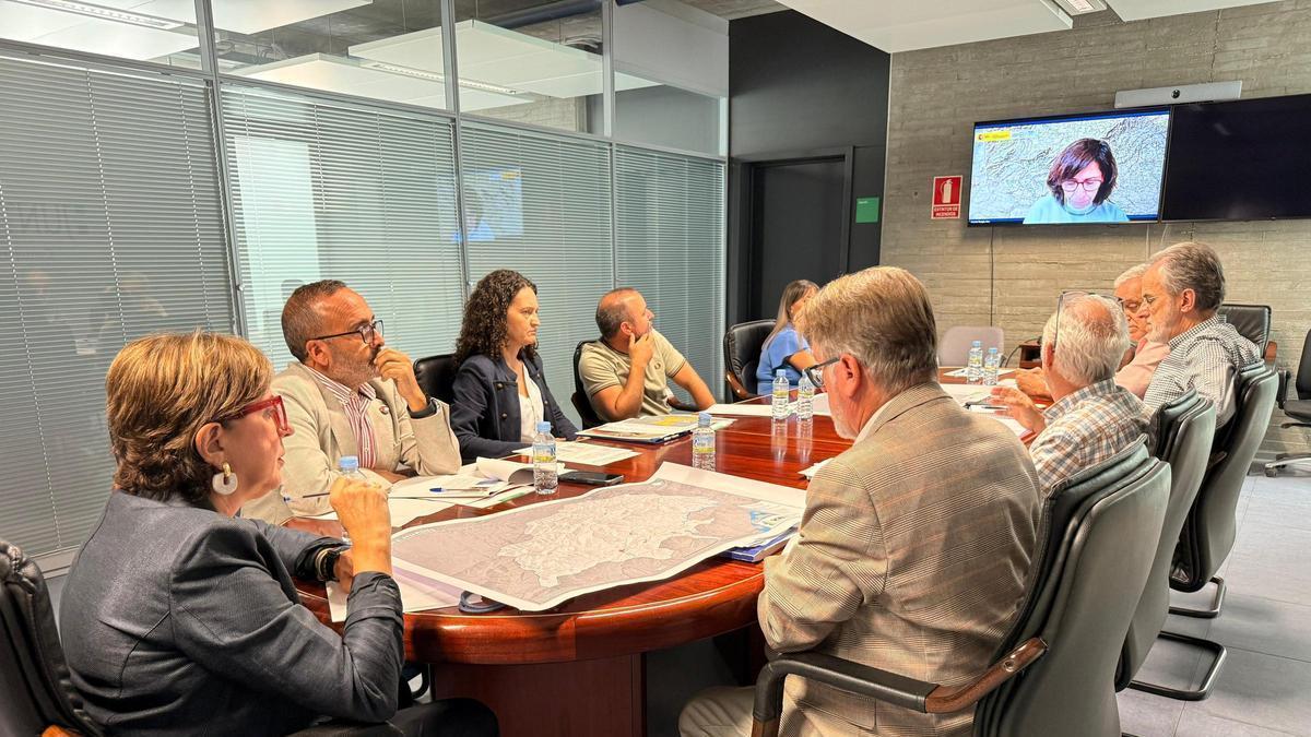 Imagen de la reunión mantenida este viernes entre responsables de las tres administraciones.