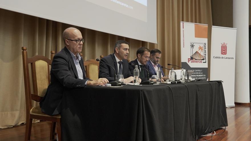 Transición Ecológica y el Cabildo ejecutarán un plan para controlar y erradicar la &#039;Diocalandra Frumenti&#039; en las palmeras de Lanzarote