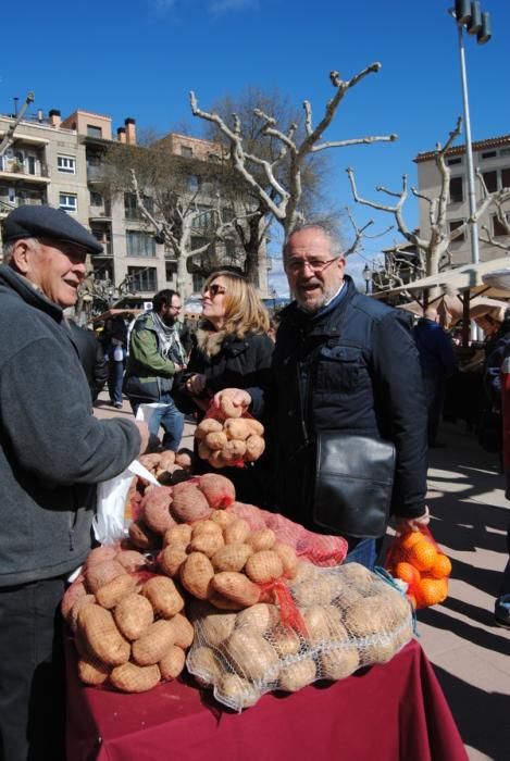 Fira del Trumfo i la Tòfona de Solsona