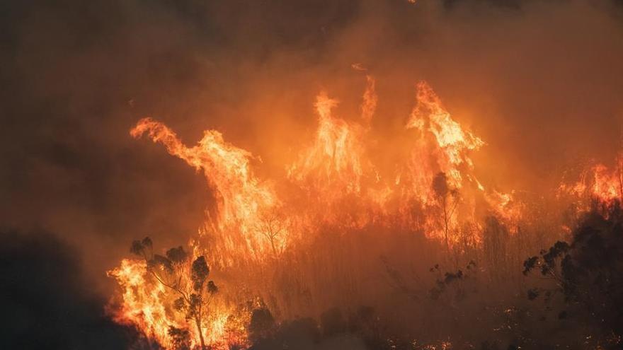 Ascienden a 16 los muertos por los incendios en Australia