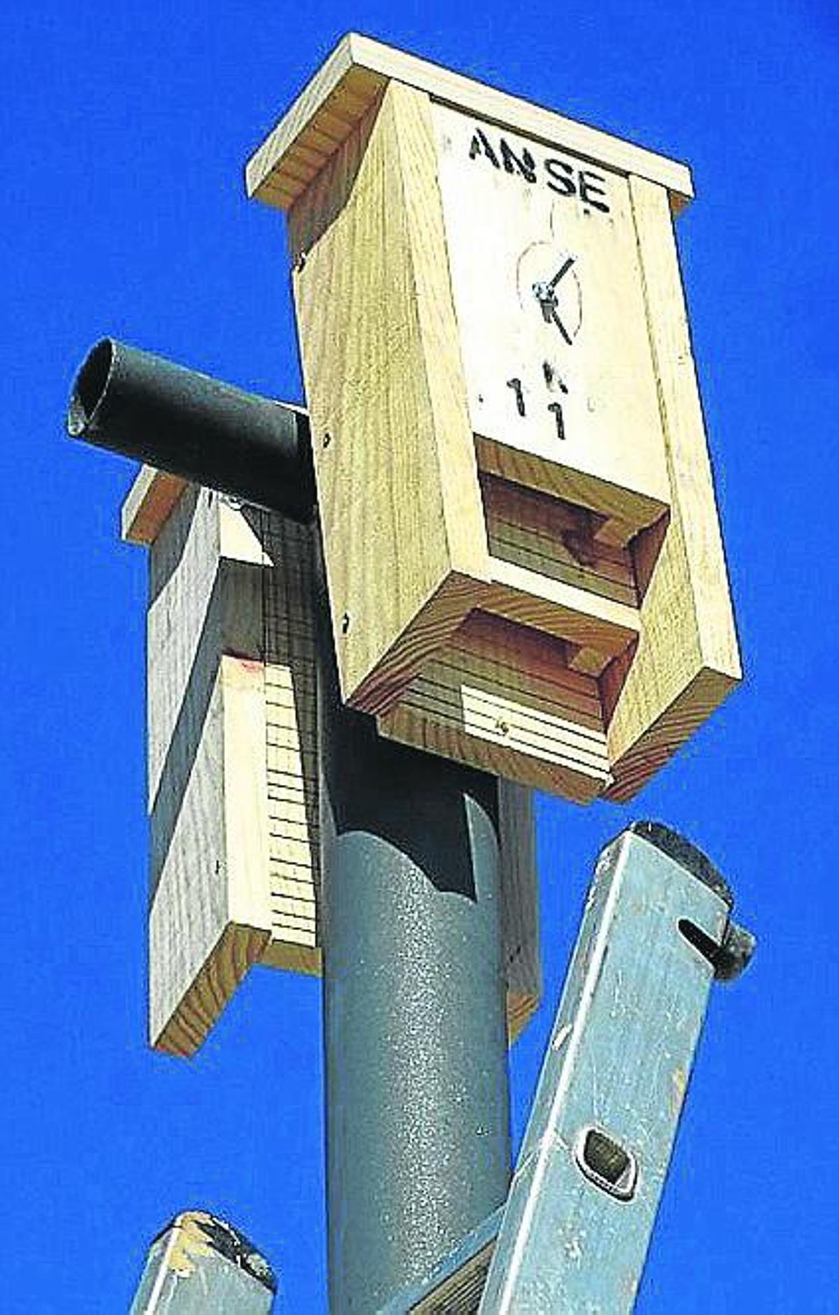 Premio al José Luis Castillo Puche por su cuidado de los murciélagos