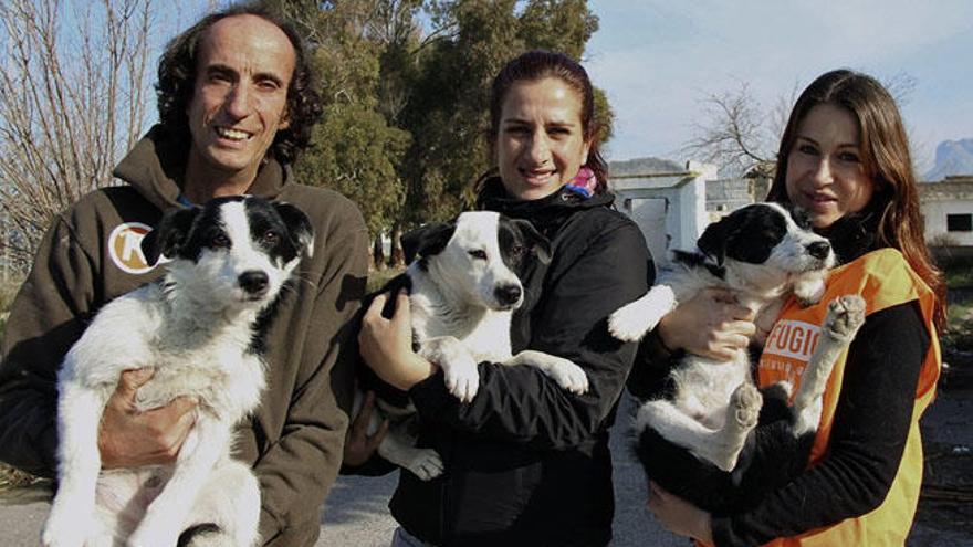 El presidente de El Refugio, Nacho Paunero, y dos voluntarias, junto a una familia de perros que llevaban cuatro meses abandonados en Antequera.