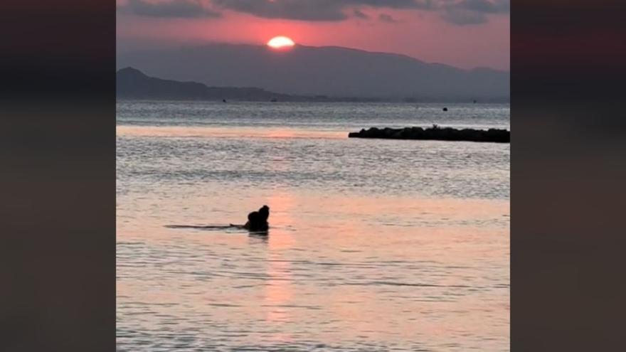 Una pareja de Murcia &#039;en busca y captura&#039; por este vídeo en la playa: las redes piden ayuda para encontrarlos