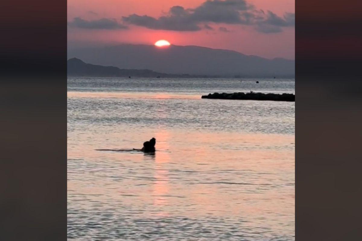 Toda España pone a una pareja 'en búsqueda y captura' tras pillarles en una playa de Murcia haciendo esto