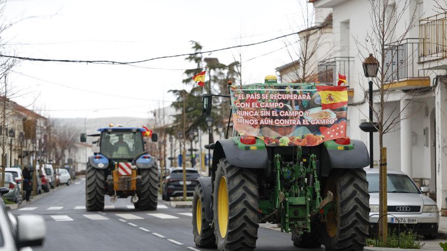 Lola Guzmán, portavoz de la Plataforma 6-F, a la Policía en las protestas de agricultores: &quot;Os mató pocos la ETA&quot;