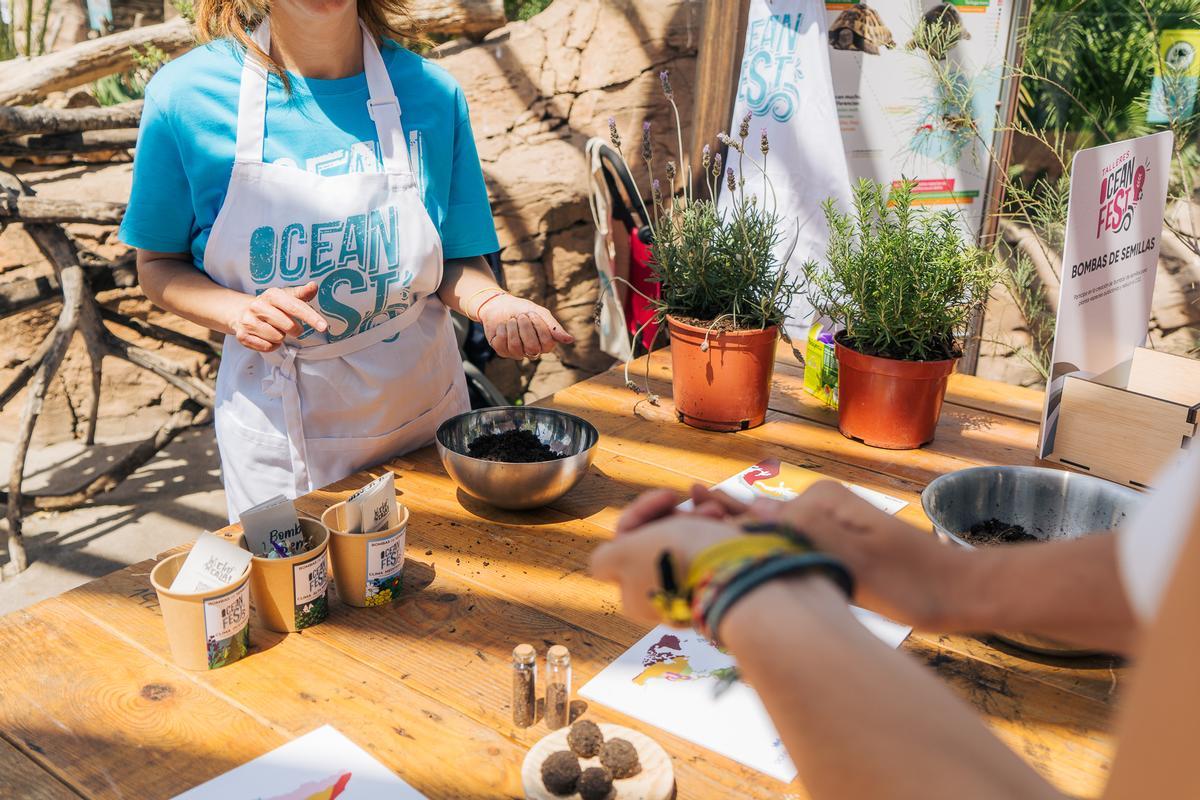 Taller de bombas de semillas en el OceanFest 2024