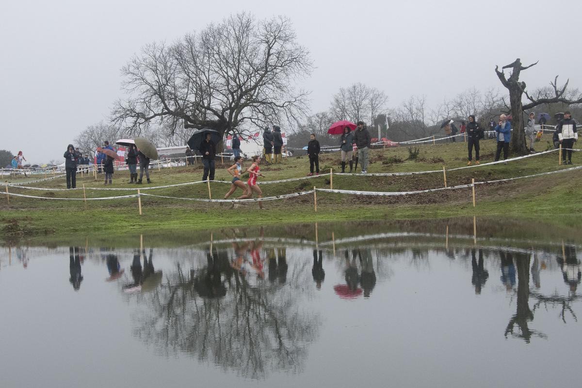 Fotogalería | Las imágenes del Gran Premio Cáceres de Campo a Través