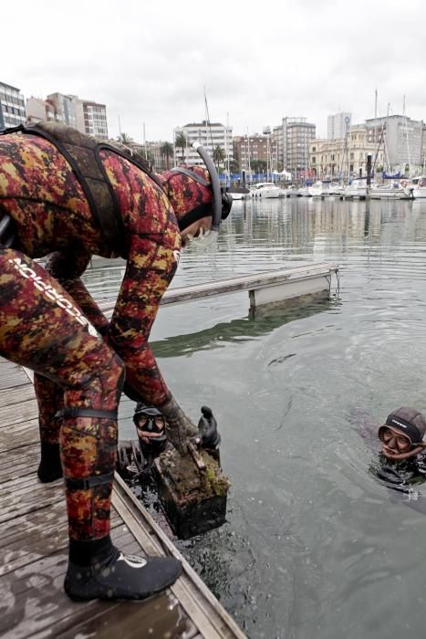 Labores de recogida de basura del fondo del muelle