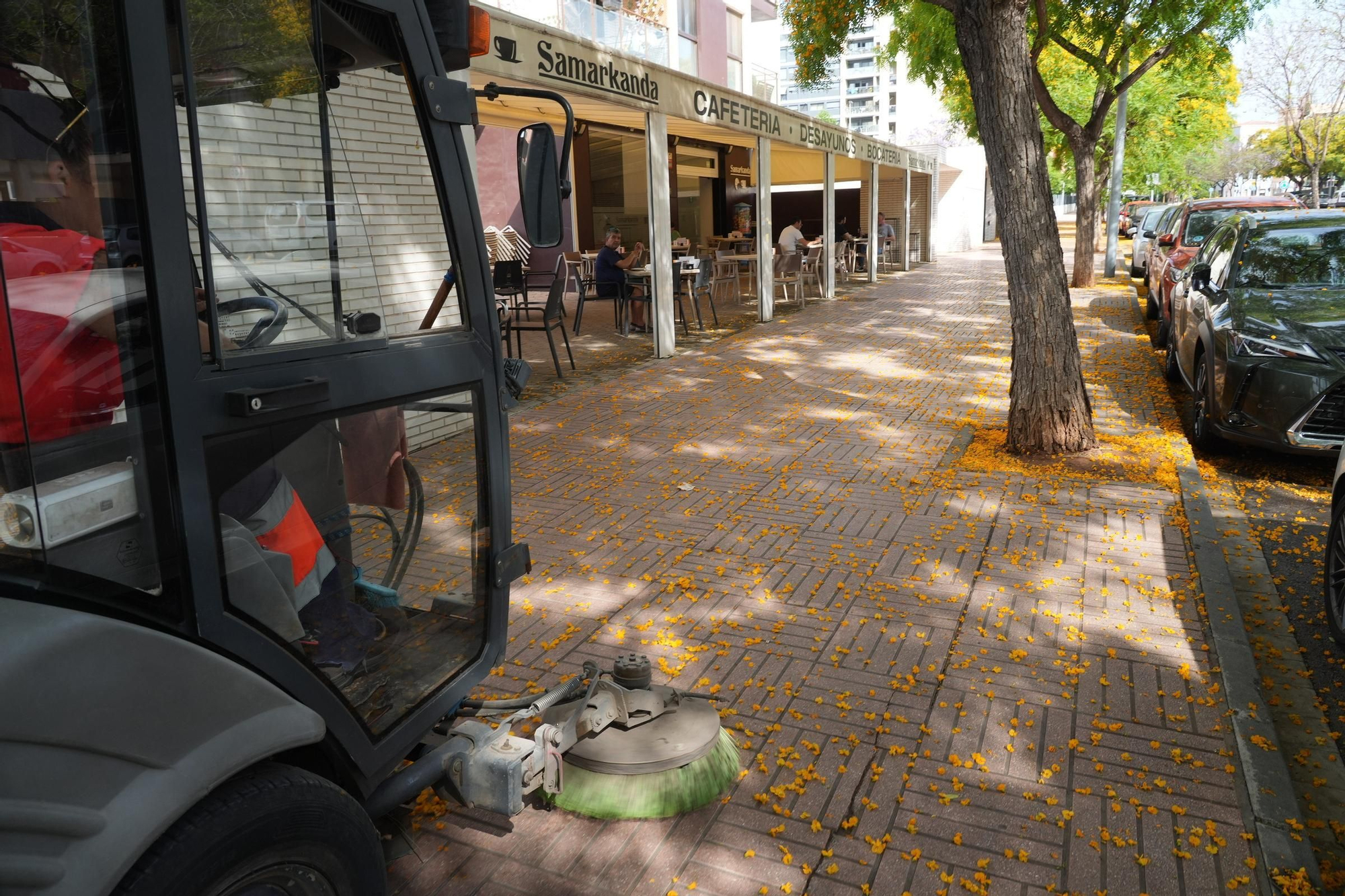 La floración tiñe las calles de Castelló