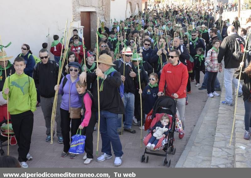 GALERÍA DE FOTOS - Romería Magdalena 2014 (5)