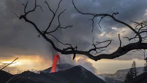 El volcà de la Palma seguirà actiu un mínim de dues setmanes