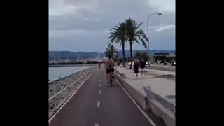 Ibrahimovic, en bici por el Paseo Marítimo de Palma