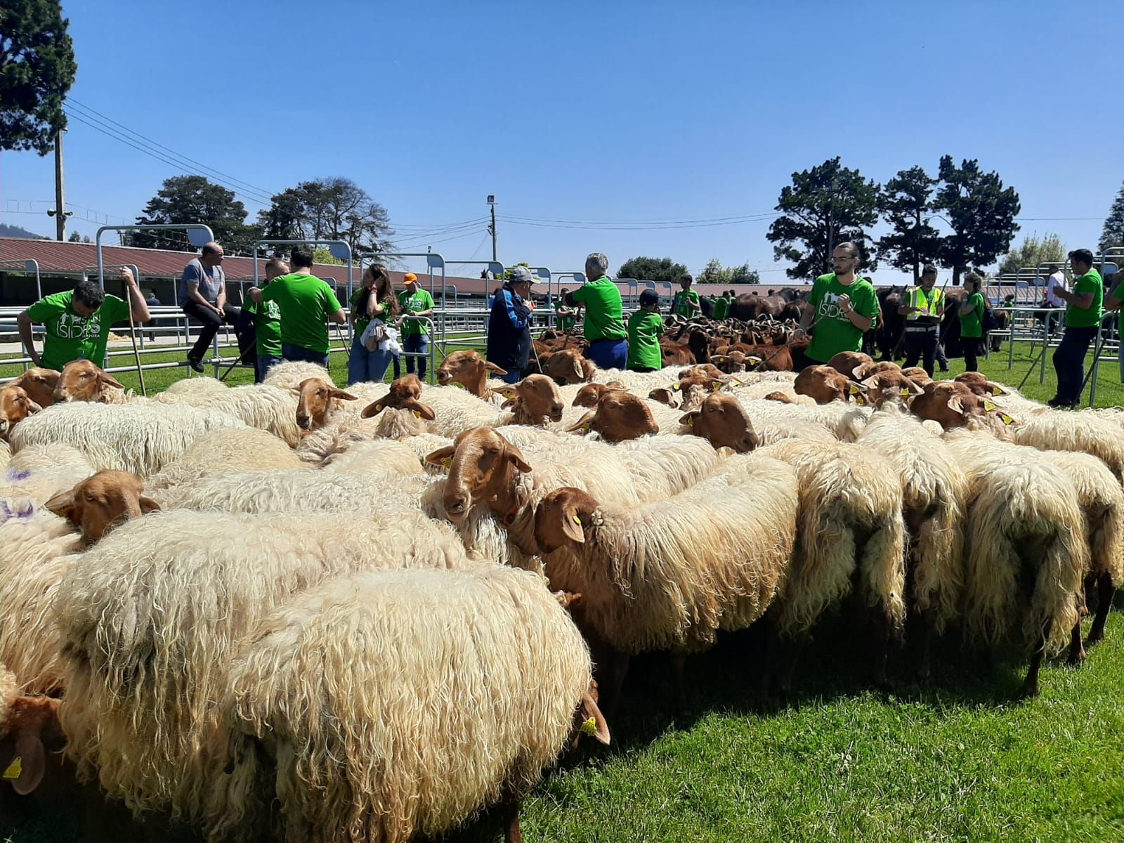 Llanera celebra por todo lo alto San Isidro