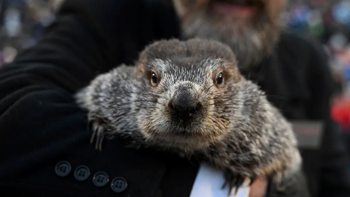 Esto es lo que le queda al invierno de acuerdo con la predicción de la Marmota Phil