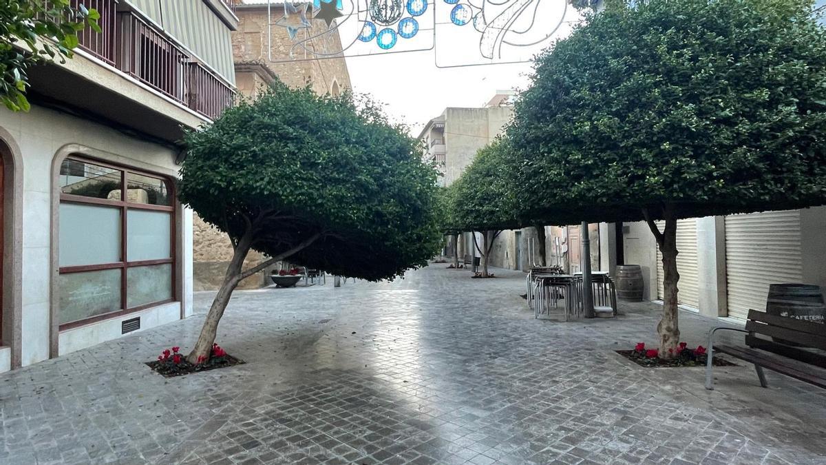 Un árbol doblado en una calle de Mutxamel