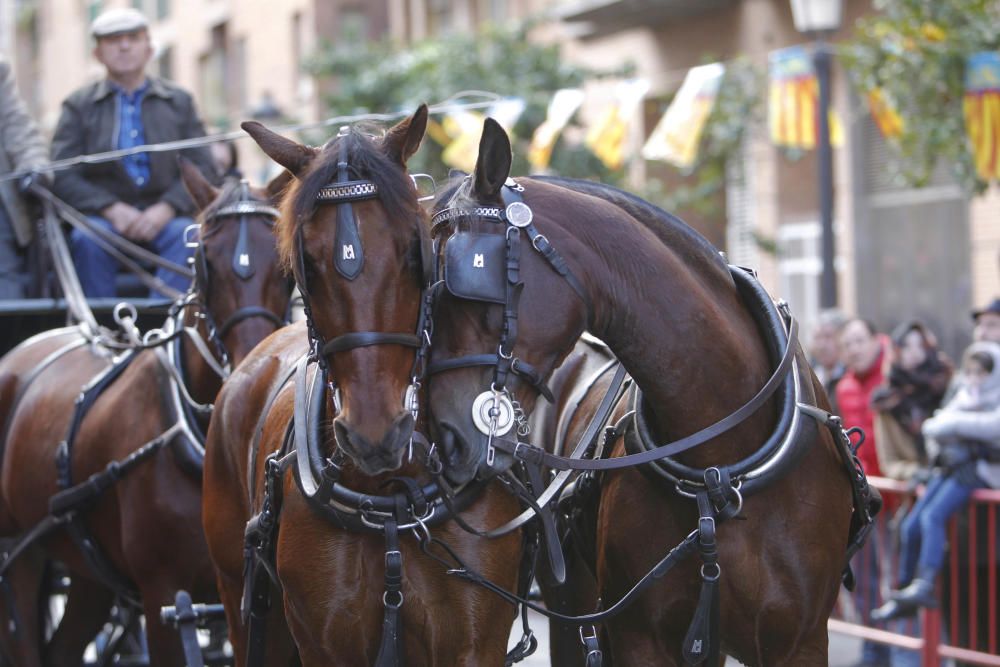 Sant Antoni en Valencia 2017