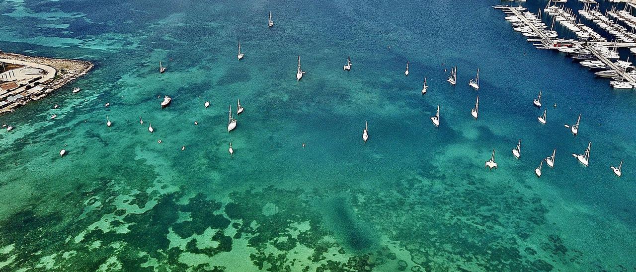 La bahía, en una imagendel año pasado.