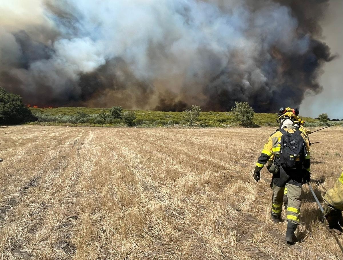 Varios efectivos de las brigadas forestales durante als albores de extinciónd el incendio de Castromil
