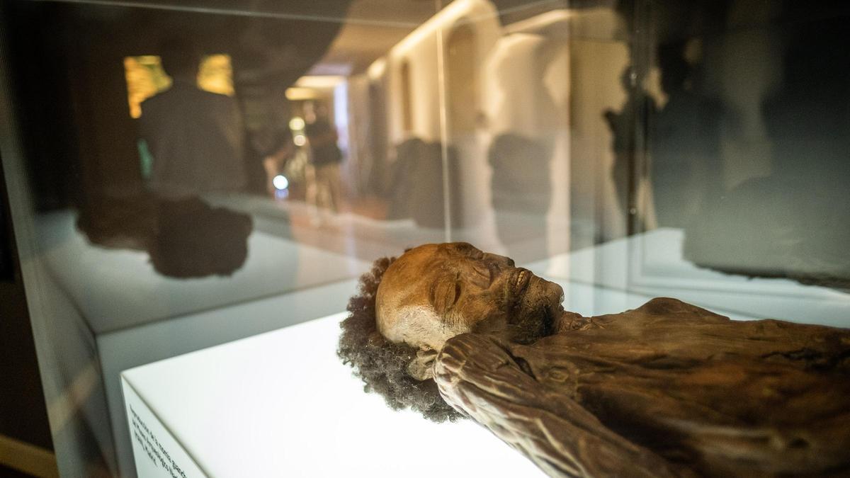 Una réplica de la momia de Erques expuesta en el Museo de Ciencias Naturales (MUNA) en Tenerife