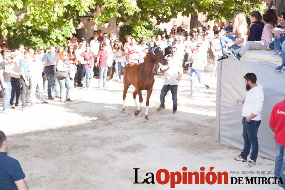 Día uno de mayo, entrada de caballos al Hoyo