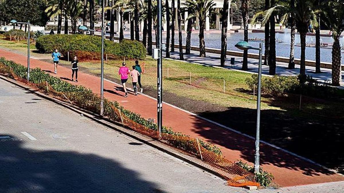 El Circuit 5K 'Jardí del Túria' continúa siendo el corazón deportivo de la ciudad del running, registrando un nuevo récord de usos mensuales.
