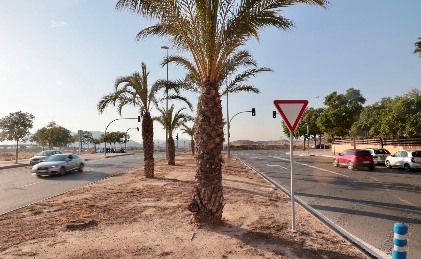 Así están las zonas verdes del PAU 1 en Alicante