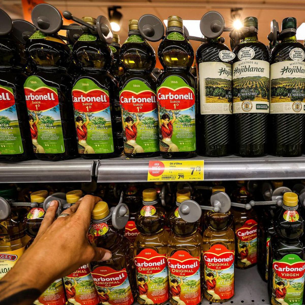 El PSOE i Sumar impulsen un IVA del 0% a l’oli que podria durar 15 dies