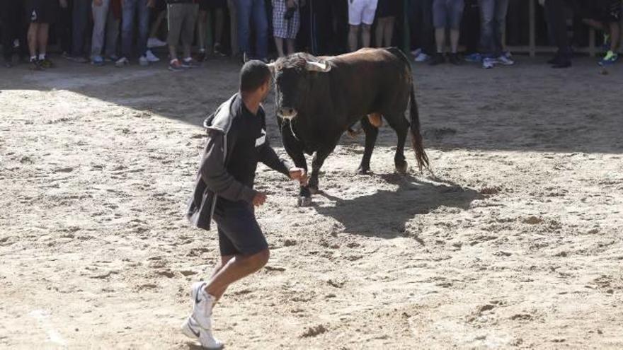 Un joven de 24 años recibe siete cornadas en el tercer toro de la tarde en Santa Quitéria