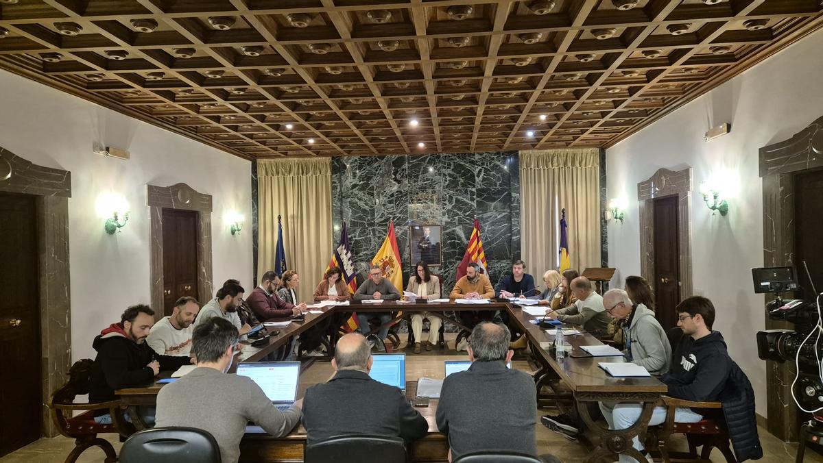 Un momento de la sesión plenaria celebrada en Campos este jueves.