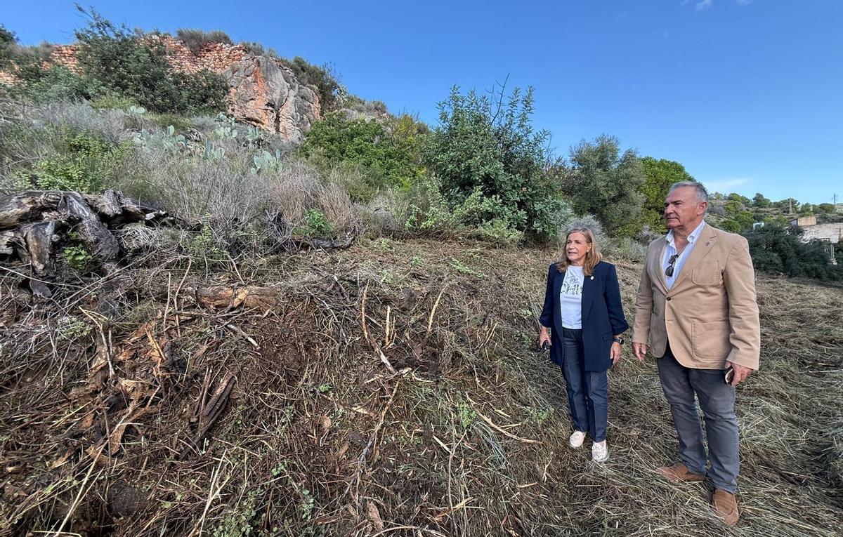 La alcaldesa y el concejal de Patrimonio durante una visita a la parcela del BIC de la Centinela.