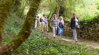 Verbenas, talleres y senderismo: la naturaleza y la tradición se unen en las propuestas del mes de agosto