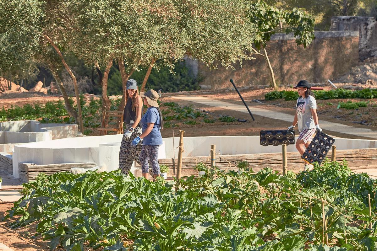 Can Zol es una finca ecológica situada en pleno corazón de Ibiza.