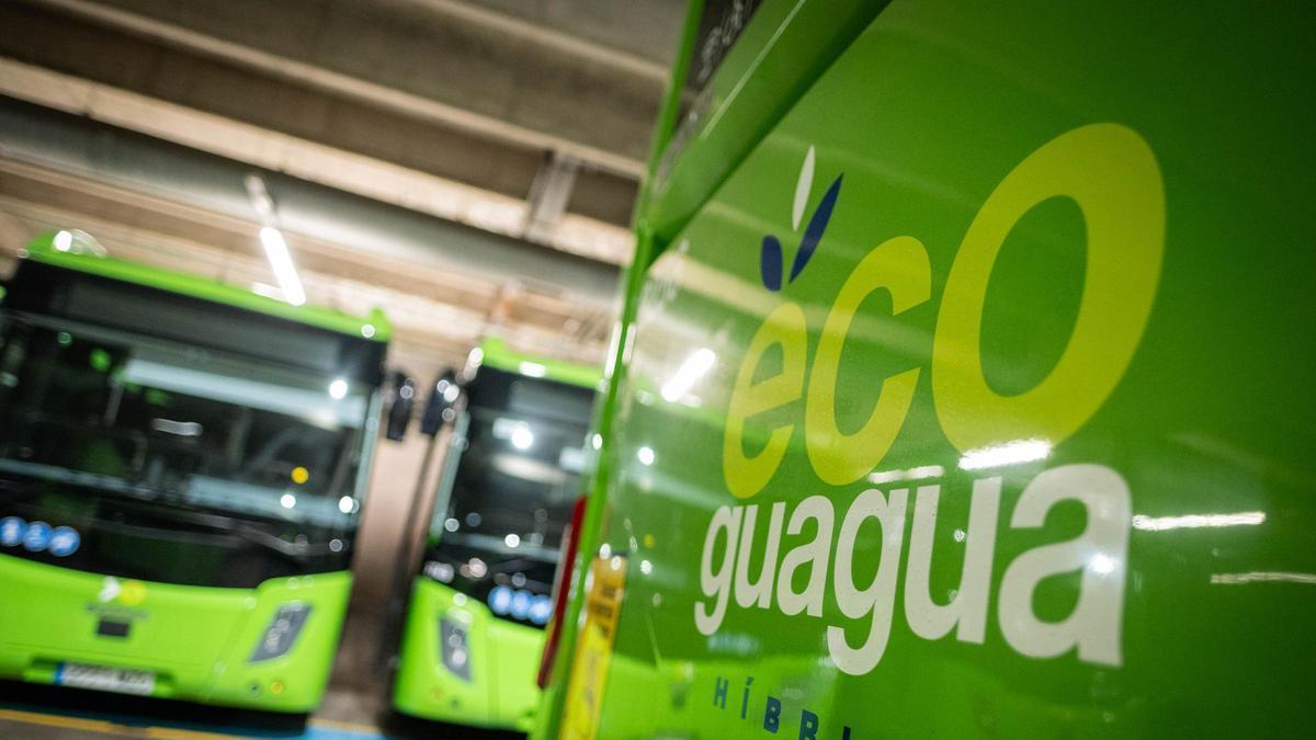 Guaguas de Titsa que cubren el servicio urbano en Santa Cruz.