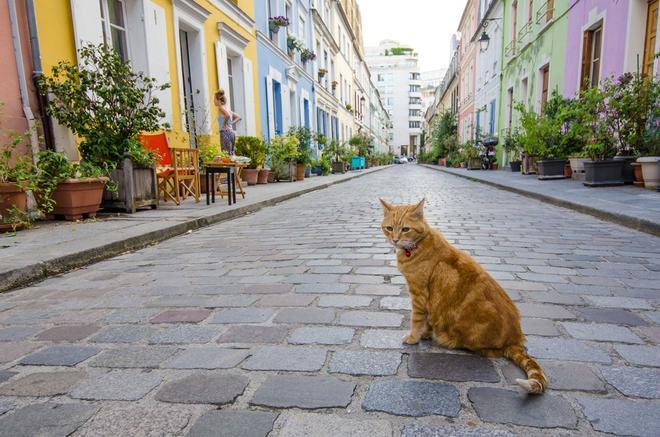 Rue Cremieux París