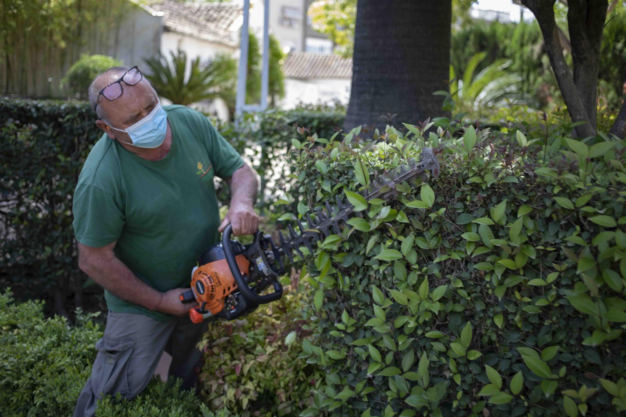 Lucha biológica en "Los Jardines del Palasiet" de Xàtiva