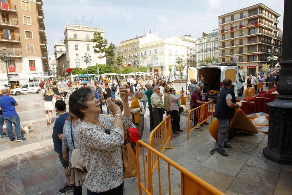 Numerosas personas acuden a la plaza de la Virgen de València para contemplar el tapiz floral