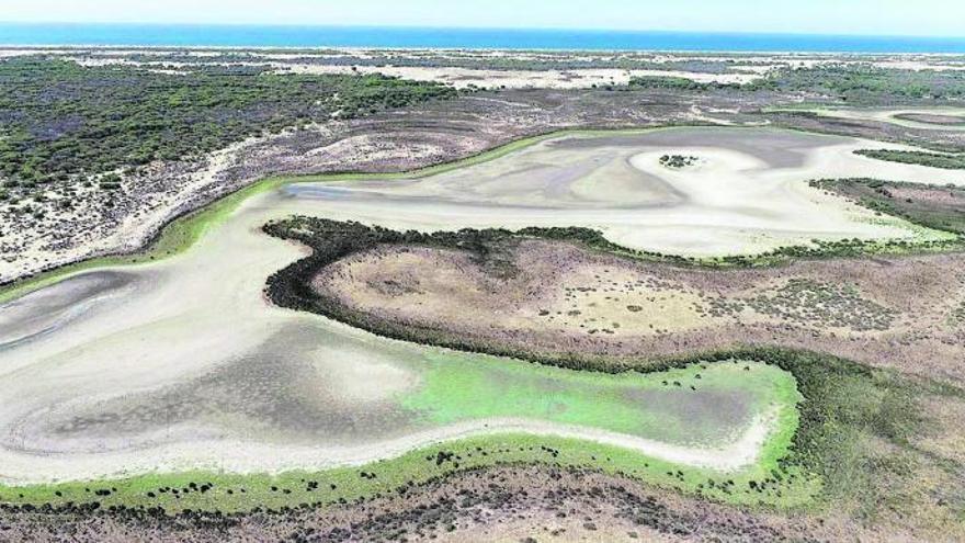 Llacunes de Santa Olalla, a
Doñana, completament
seques, aquest estiu.  csic