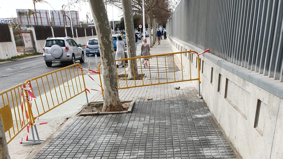 Intervención de reparación en la acera de la avenida de Delfina Viudes, empleada de forma intensiva por peatones que acuden al mercadillo, la zona deportiva y el IES Mare Nostrum