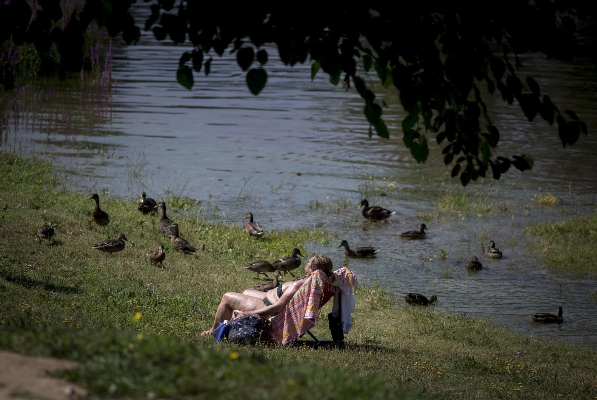 imagenesnoroeste Fotos 1-22553529.jpg