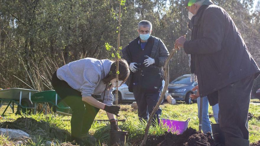 Jornada de reforestación en en San Antón, en Irixoa