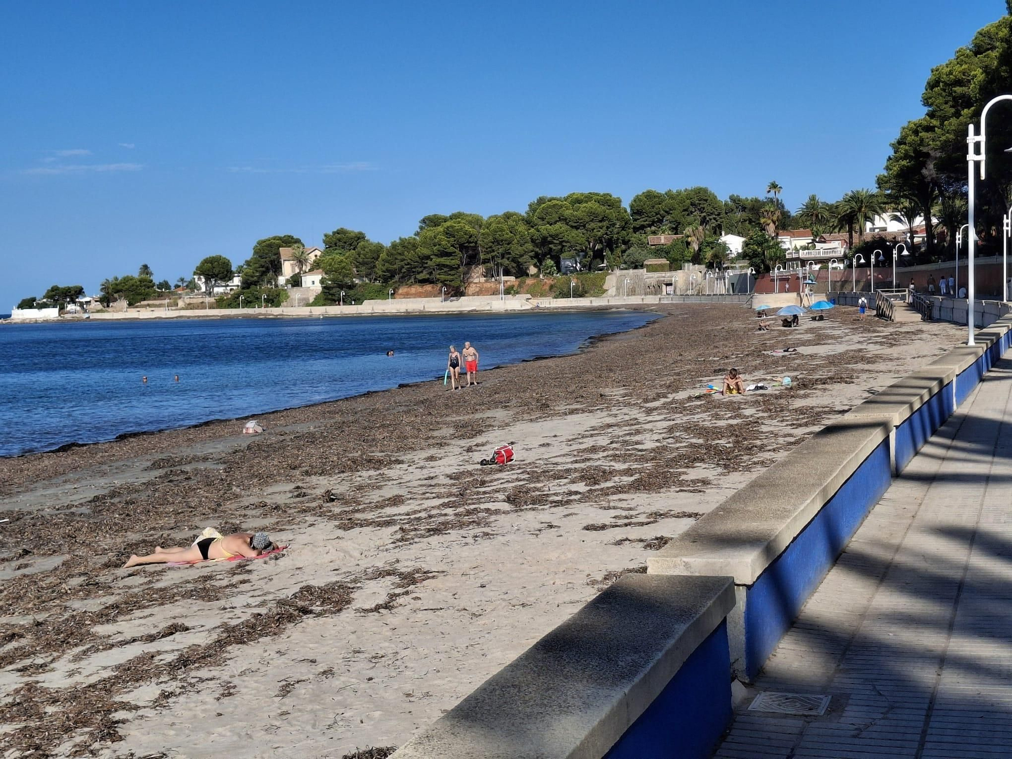 ¡Esto es vida!: manto de posidonia, aguas cristalinas y paz absoluta en la Marineta Cassiana de Dénia