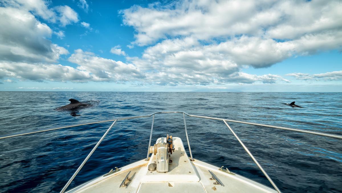 Un barco acompañado de calderones
