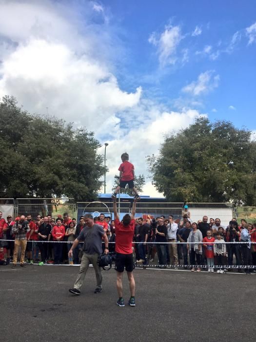 Fußballfans des RCD Mallorca hatten vor dem Spiel gegen Alcorcón am Sonntag (23.10.) Gelegenheit, zusammen mit dem Ex-NBA-Profi Steve Nash eine Runde Basketball spielen. Der Kanadier ist Aktionär beim Zweitligisten und will den Klub mit der Aktion unterstützen.