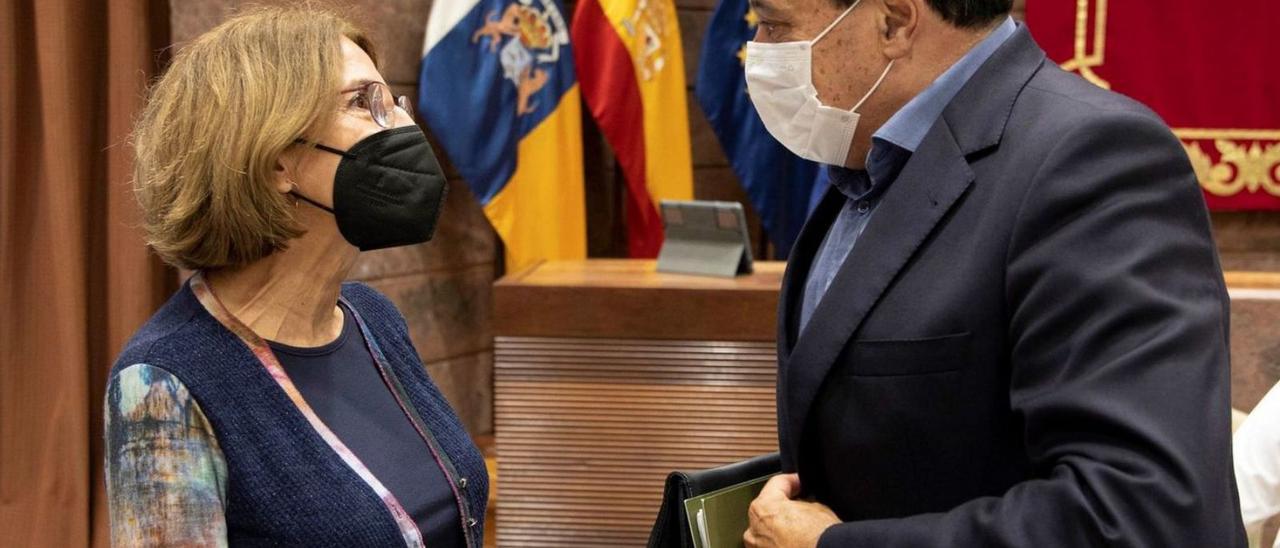 El consejero de Sanidad, Blas Trujillo, junto a la portavoz del colectivo canario de Covid persistente, María Inmaculada Pérez. | EFE