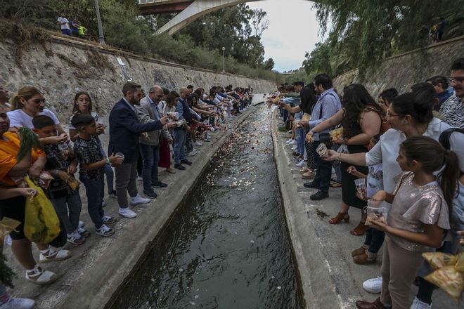 Dia internacional del Pueblo Gitano en Elche